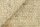 Schurwoll Teppich LANDSCAPE beige (verschiedene Größen) 200x240 cm
