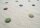 Schurwoll Teppich Happy Rugs COLORDOTS natur/multi 120x180 cm + gratis Anti-Rutschunterlage
